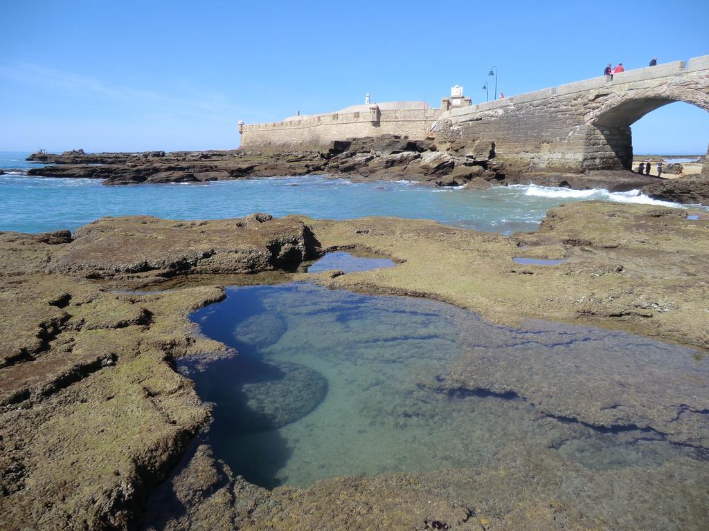 La Nube De San Miguel Lejlighed Cádiz Eksteriør billede